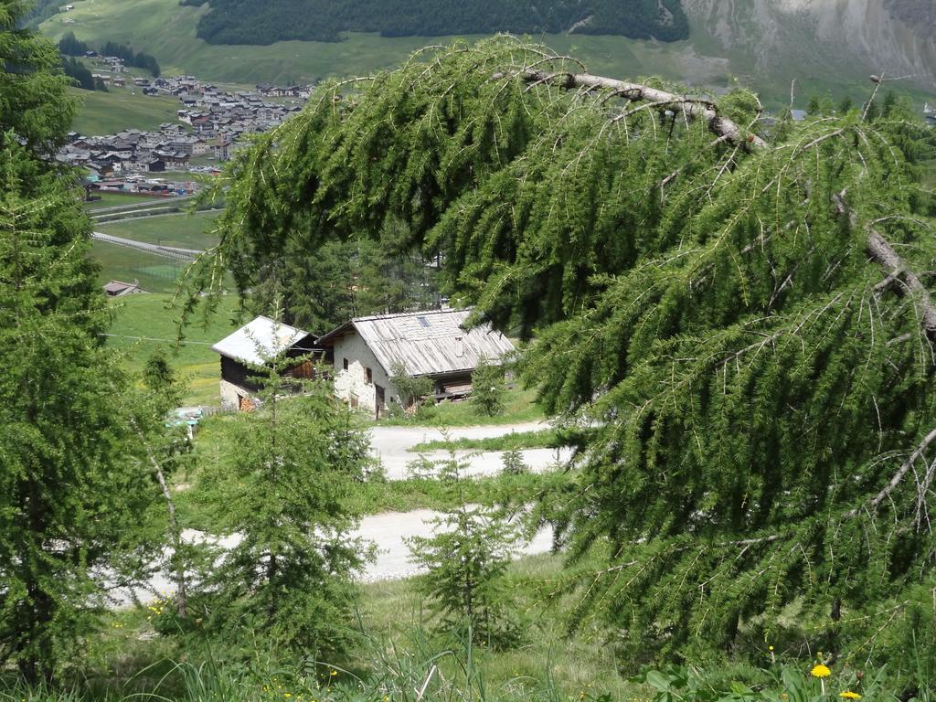 Hotel Marzia Livigno Eksteriør billede